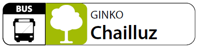 Ginko Chailluz